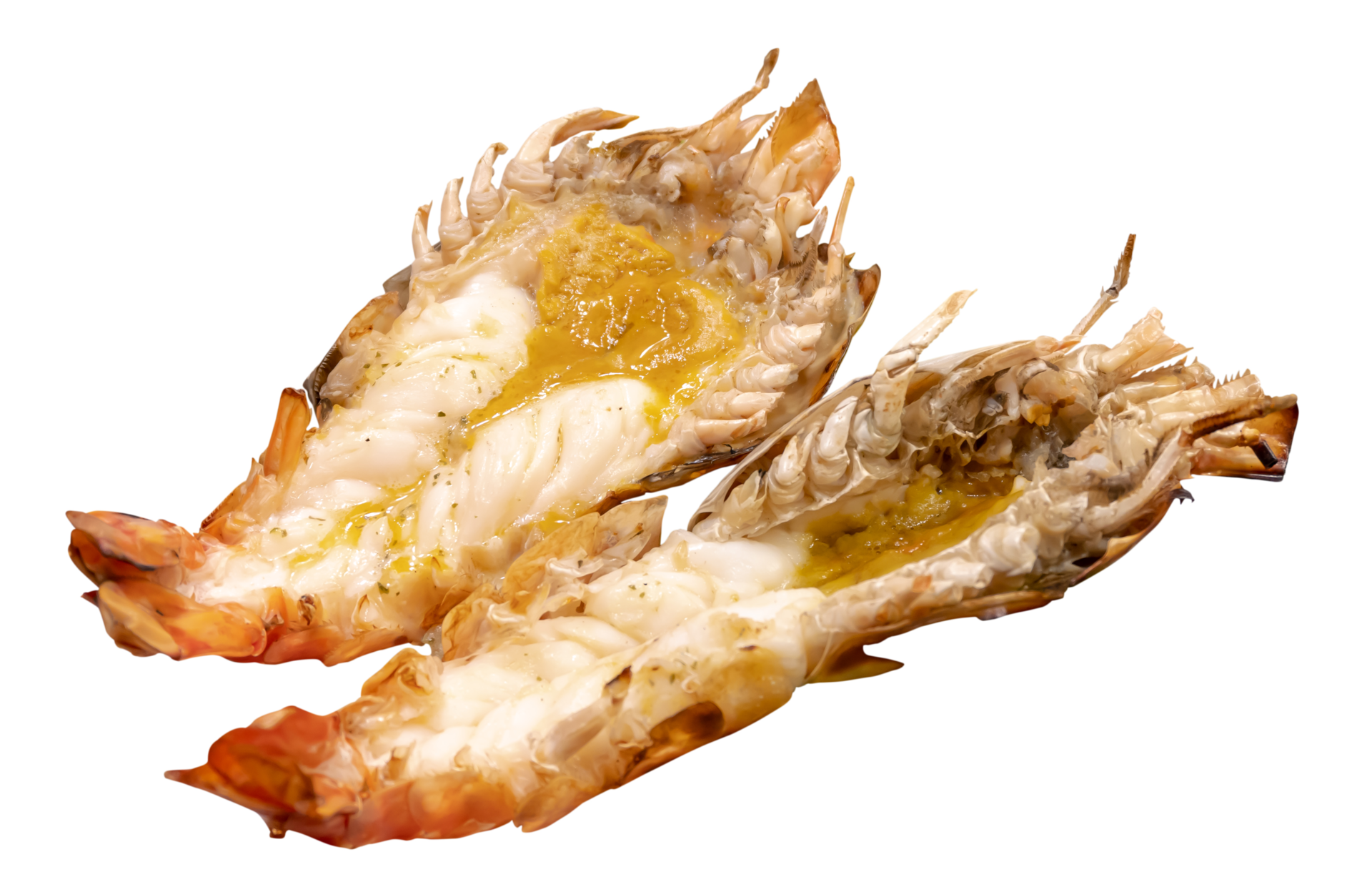 Grilled river prawns or lobsters isolated with clipping path in png