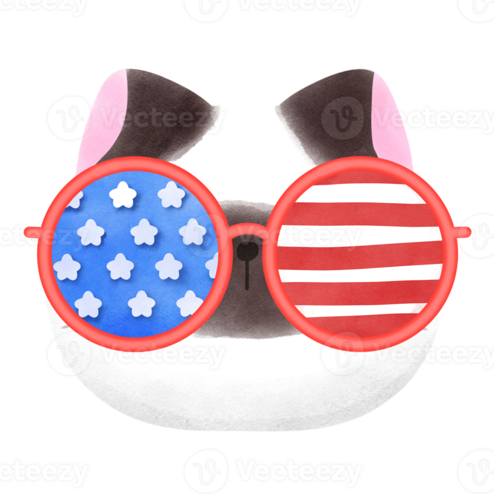 Happy 4th of July cute cat watercolor Illustration png