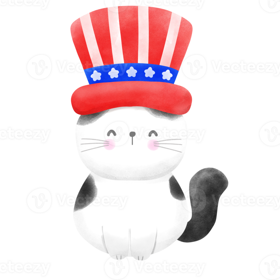 Happy 4th of July cute cat watercolor Illustration png