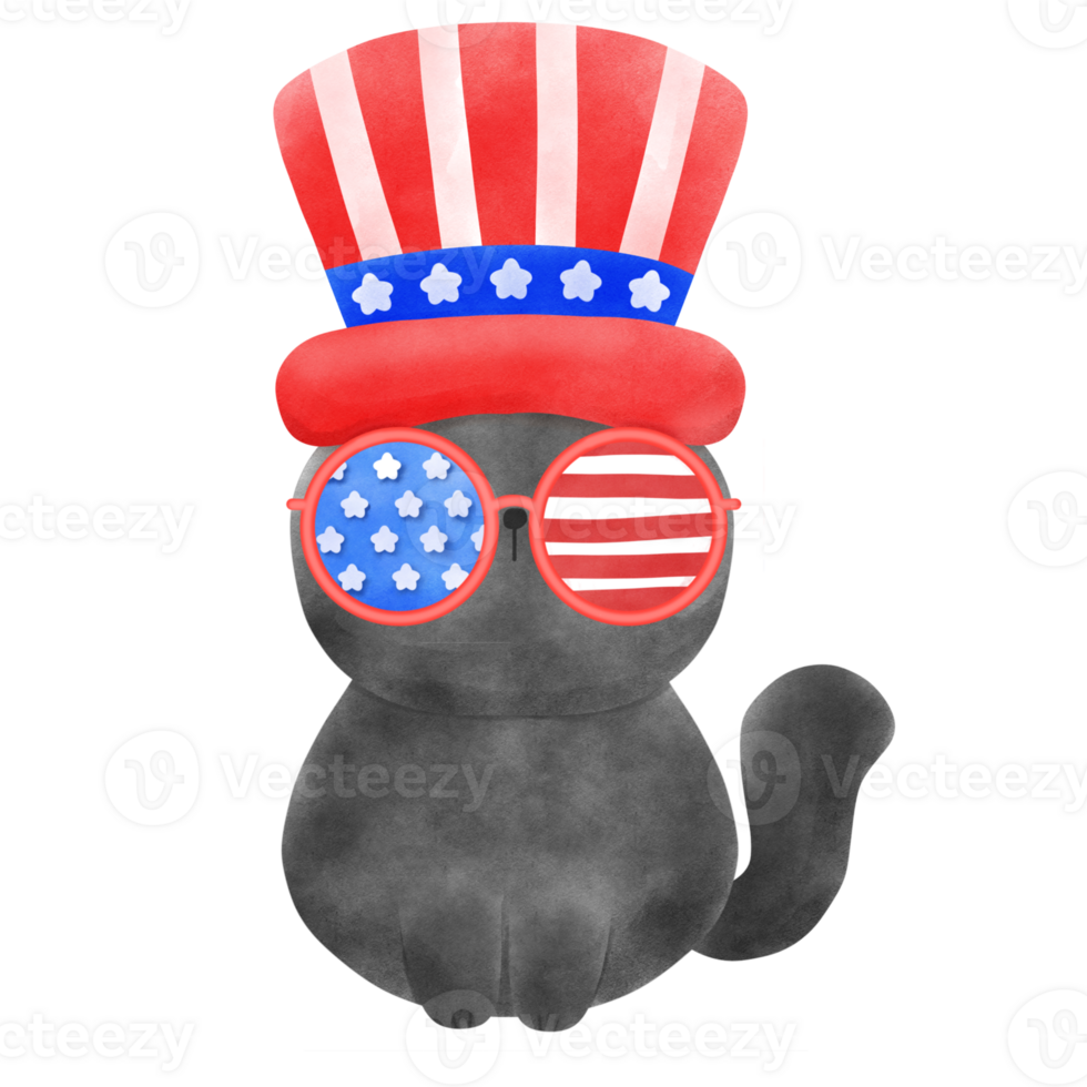Happy 4th of July cute cat watercolor Illustration element png
