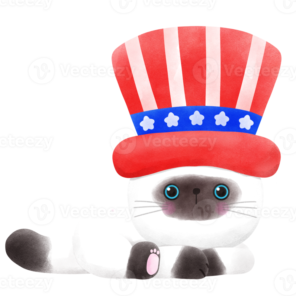 Happy 4th of July cute cat watercolor Illustration element png