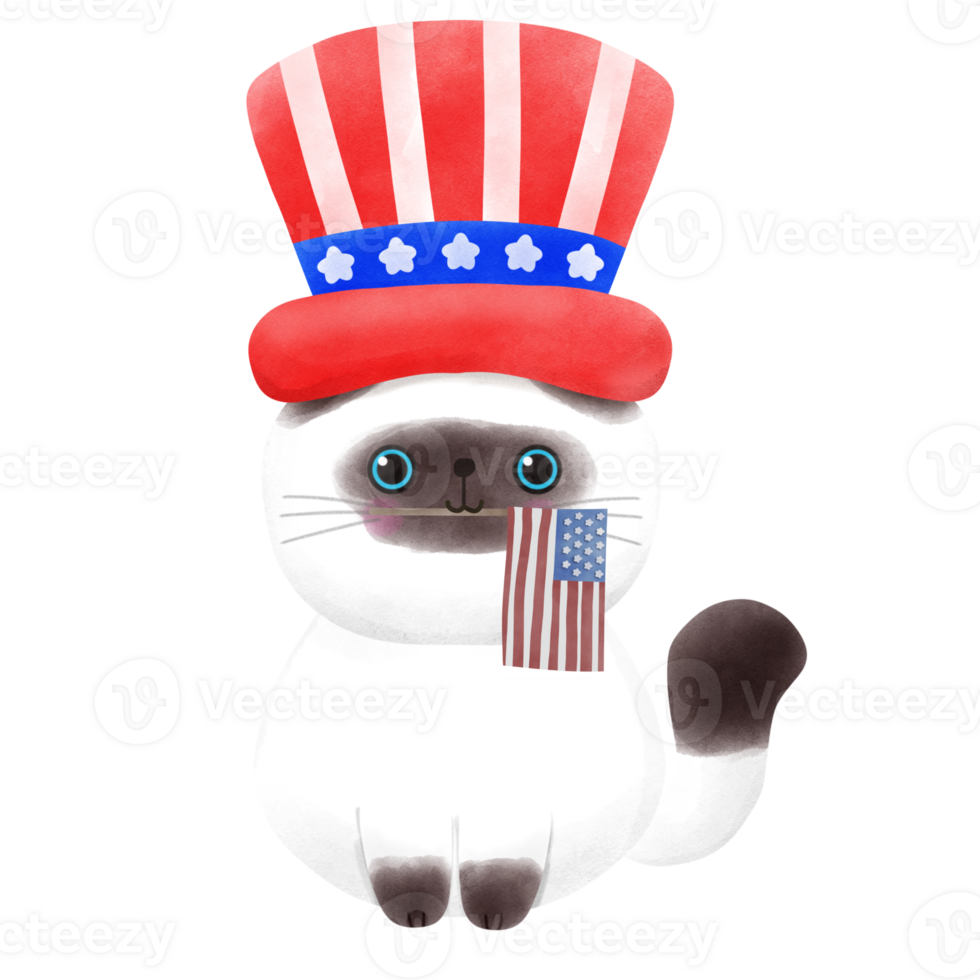Happy 4th of July cute cat watercolor Illustration element png