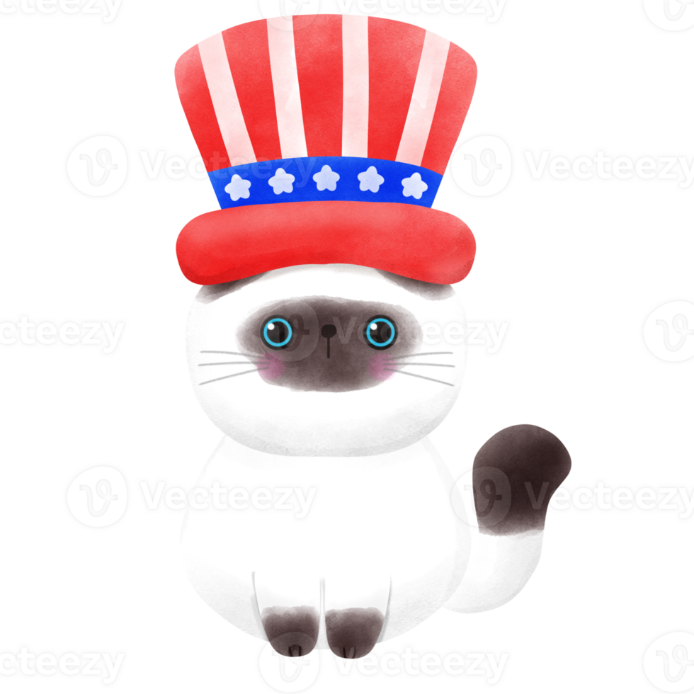 Happy 4th of July cute cat watercolor Illustration element png