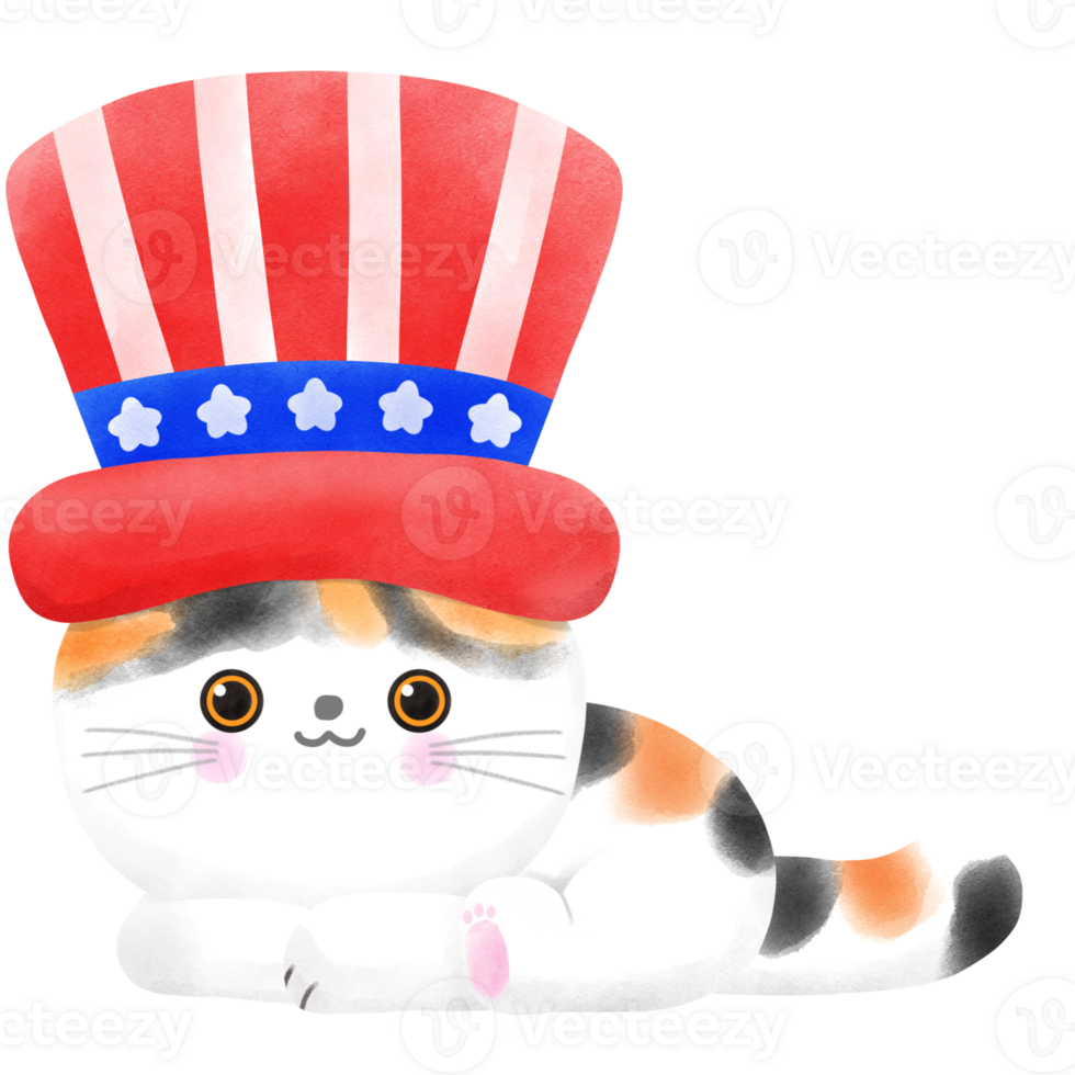 Happy 4th of July cute cat watercolor Illustration element png