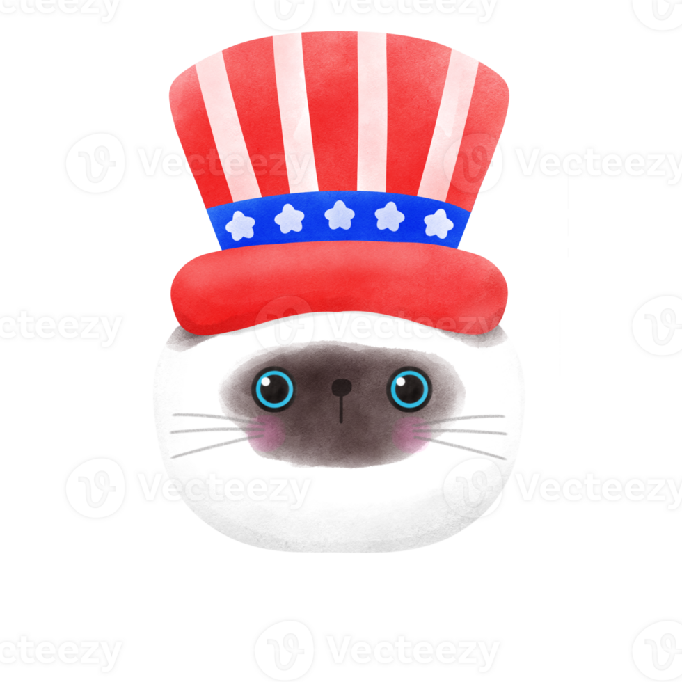 Happy 4th of July cute cat watercolor Illustration element png