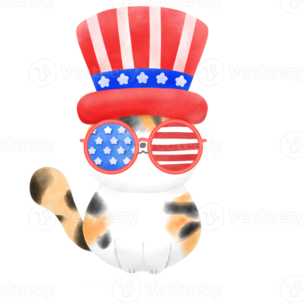 happy 4th of july oh shif