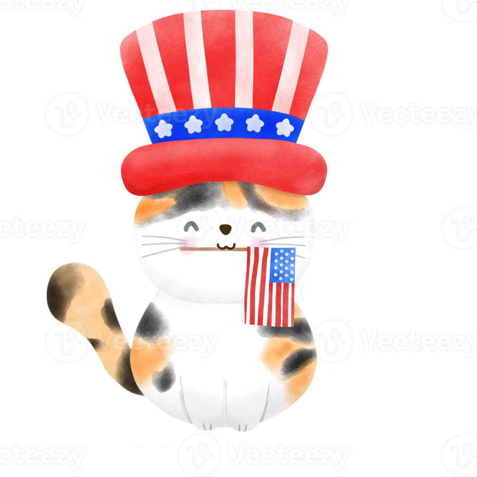 Happy 4th of July cute cat watercolor Illustration element png