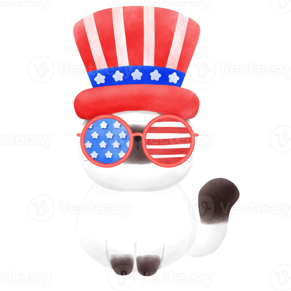 Happy 4th of July cute cat watercolor Illustration png