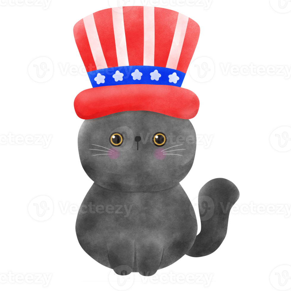 Happy 4th of July cute cat watercolor Illustration png