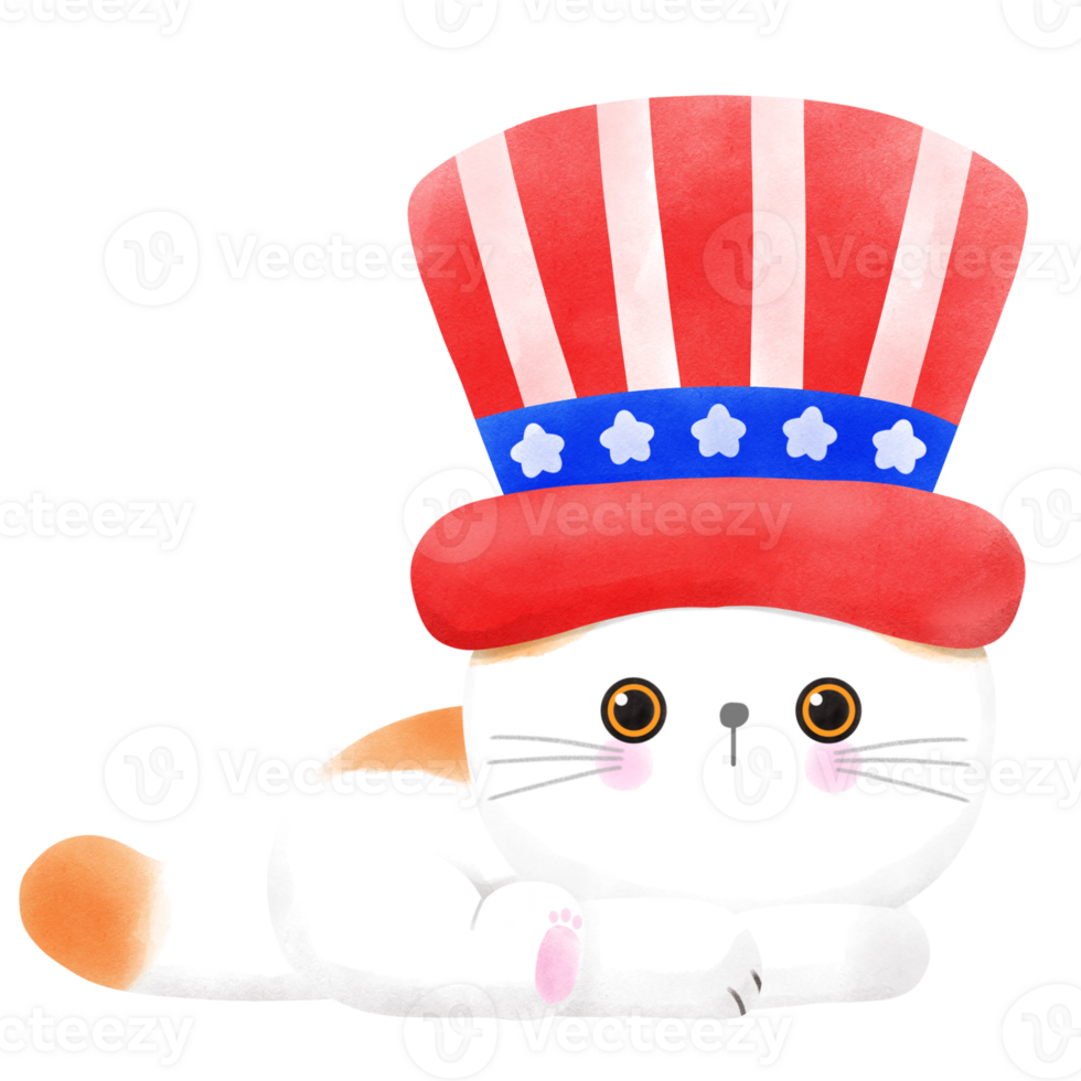 Happy 4th of July cute cat watercolor Illustration png