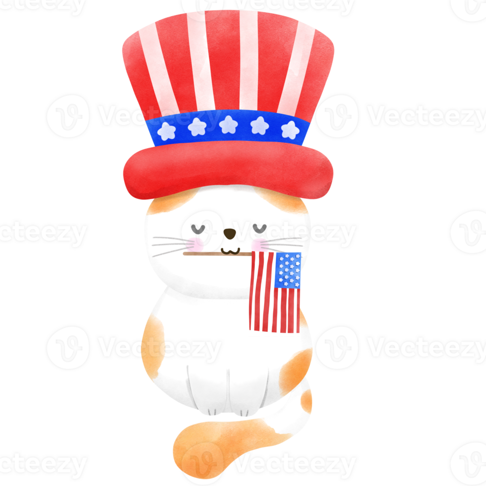 Happy 4th of July cute cat watercolor Illustration png