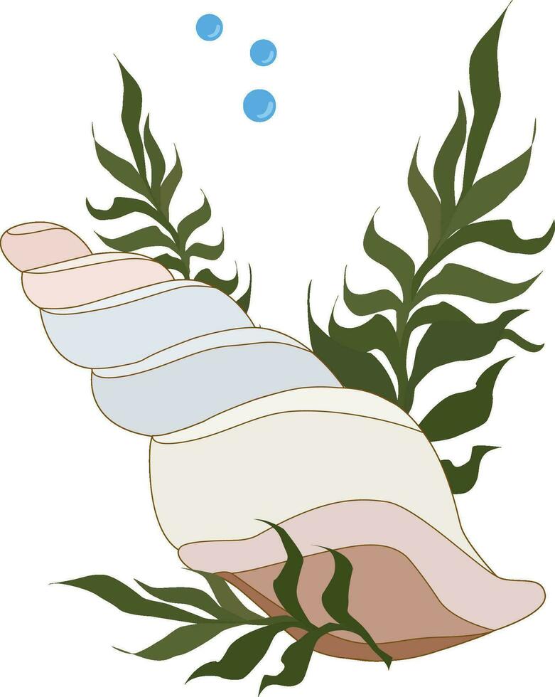 seashell with algae and bubbles vector