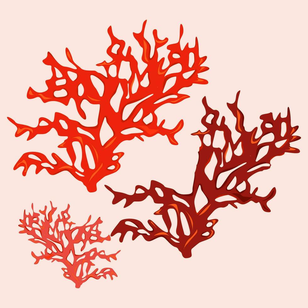 illustration of sea coral drawn in realism vector