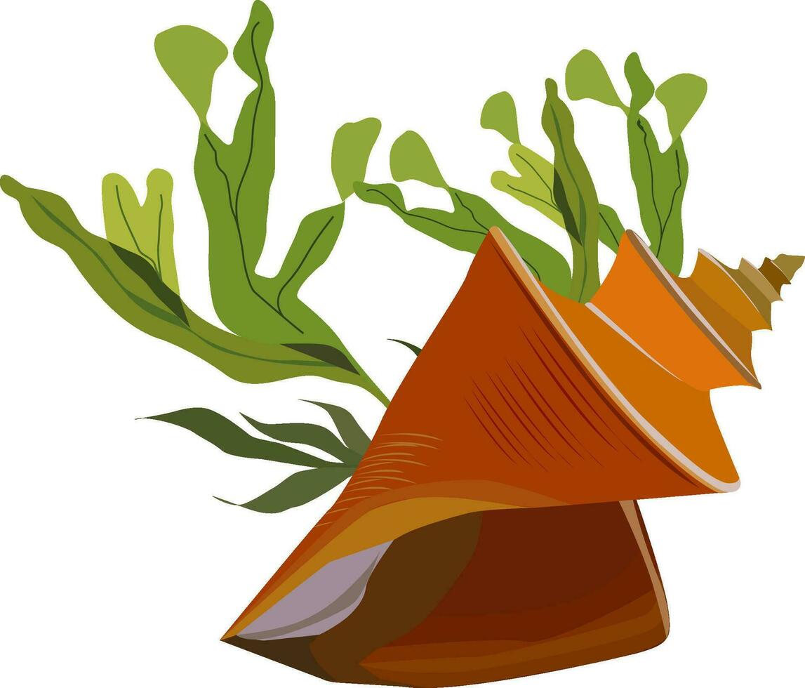 seashell with algae and bubbles vector