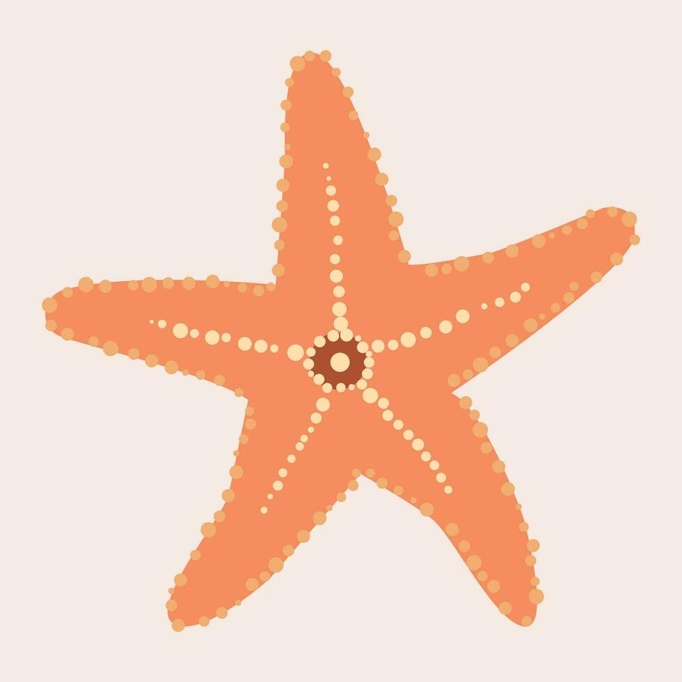 illustration of a starfish drawn in realism vector