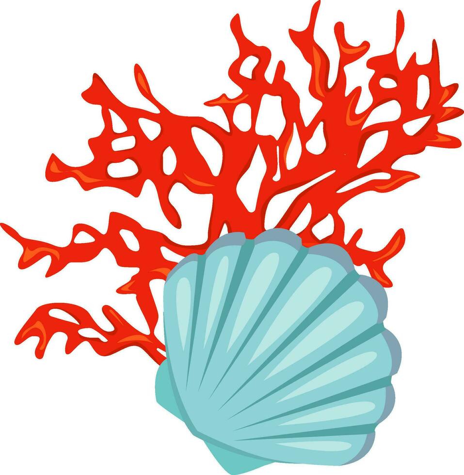 seashell with algae and bubbles vector