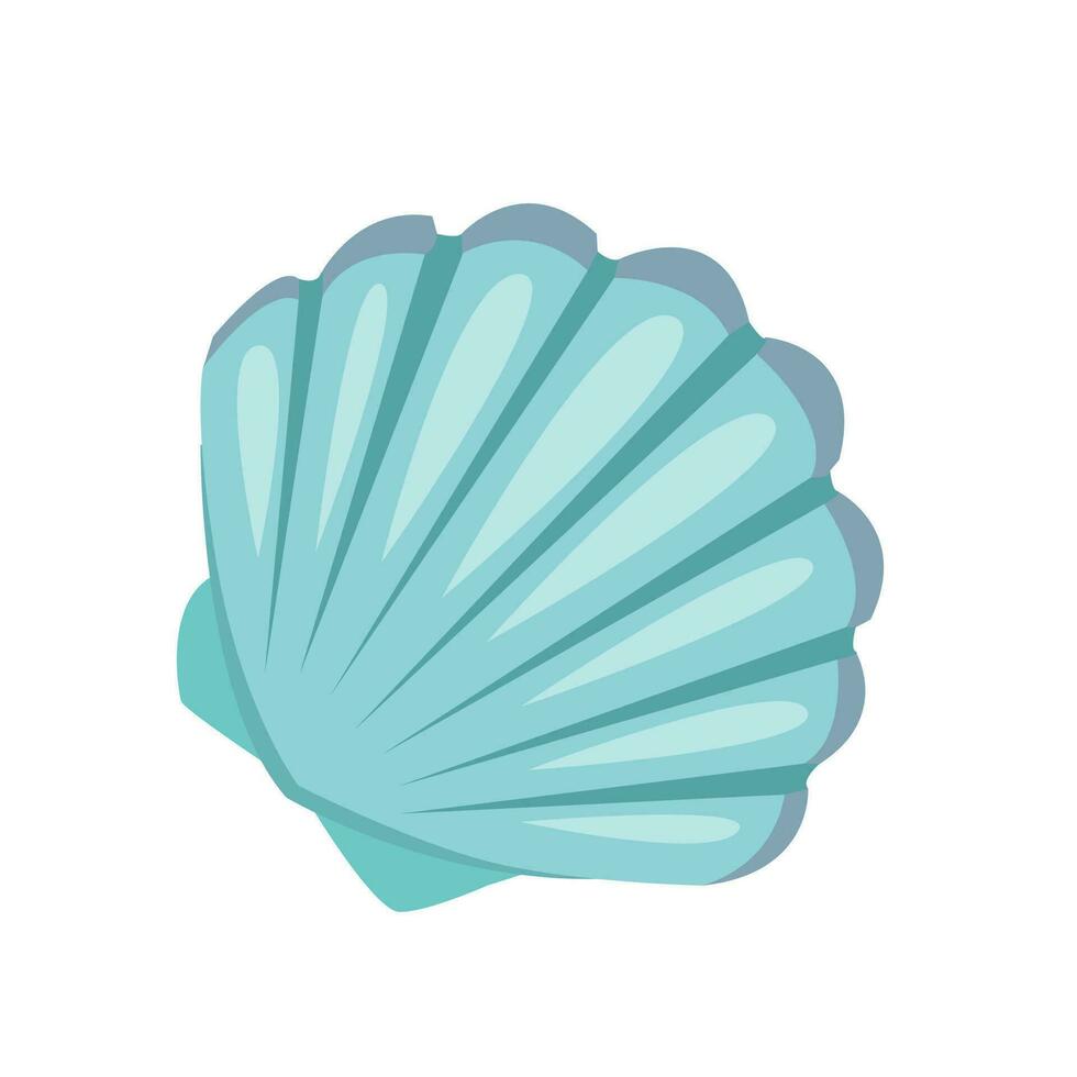 illustration of a seashell in realism vector