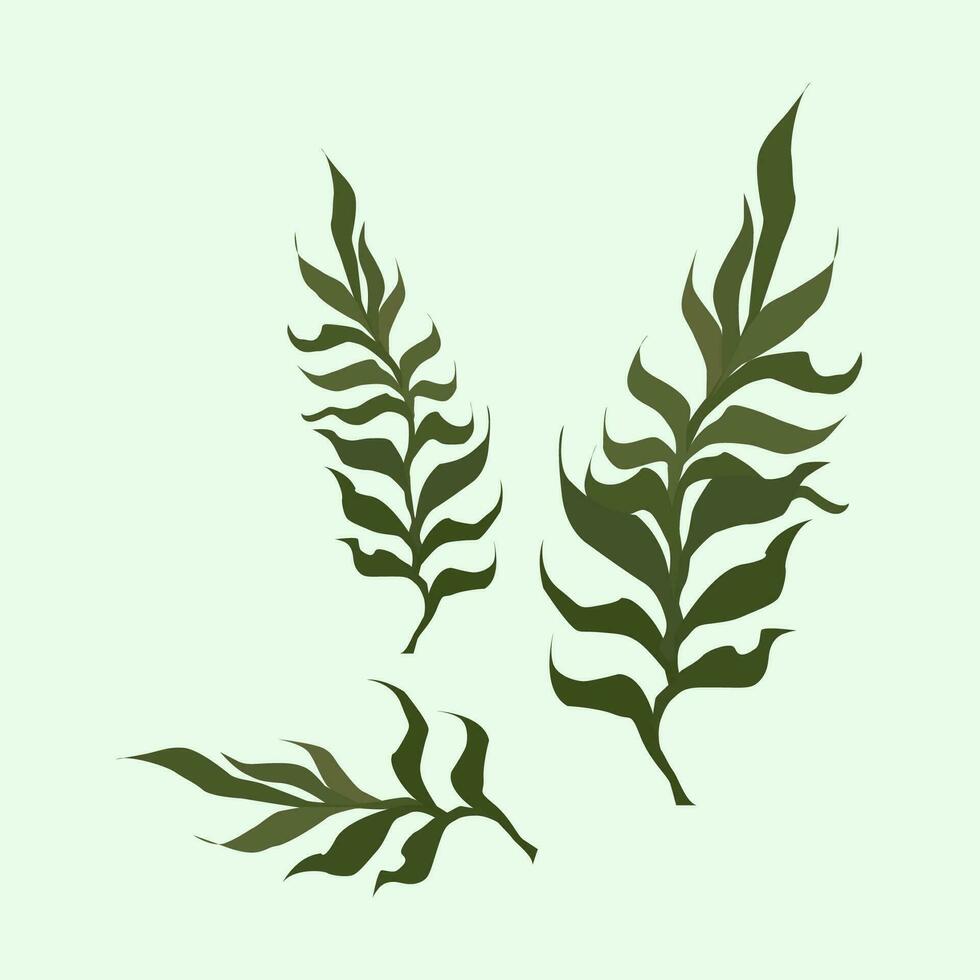 illustration of seaweed drawn in realism vector