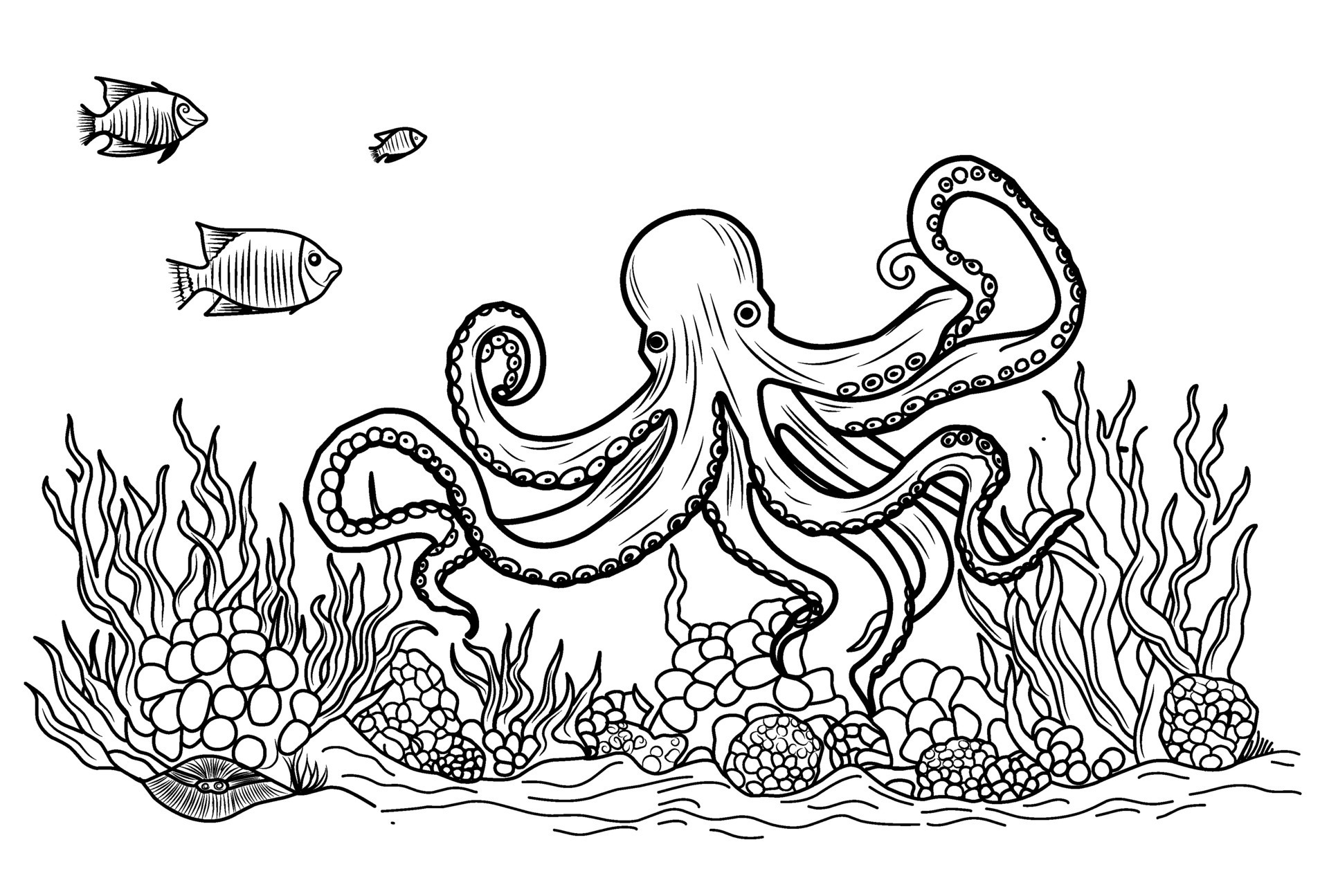 Octopus coloring book. Coloring page simple line illustration of
