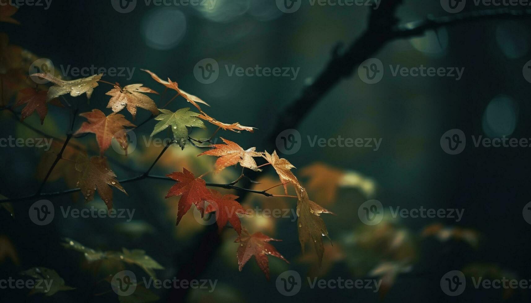 Vibrant autumn foliage, multi colored leaves falling in tranquil forest scene generated by AI photo