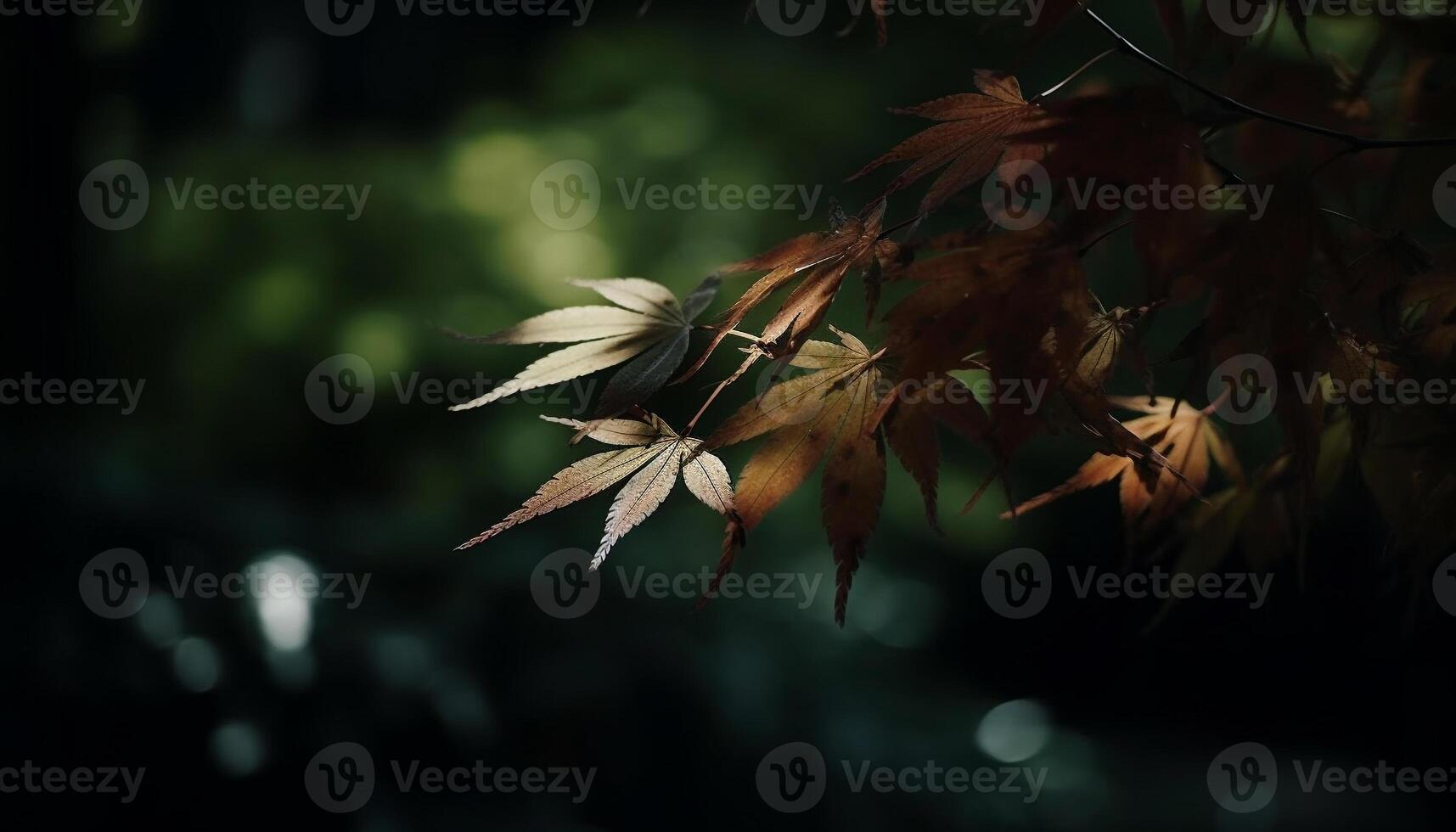 Vibrant autumn foliage on Japanese maple tree in natural environment generated by AI photo