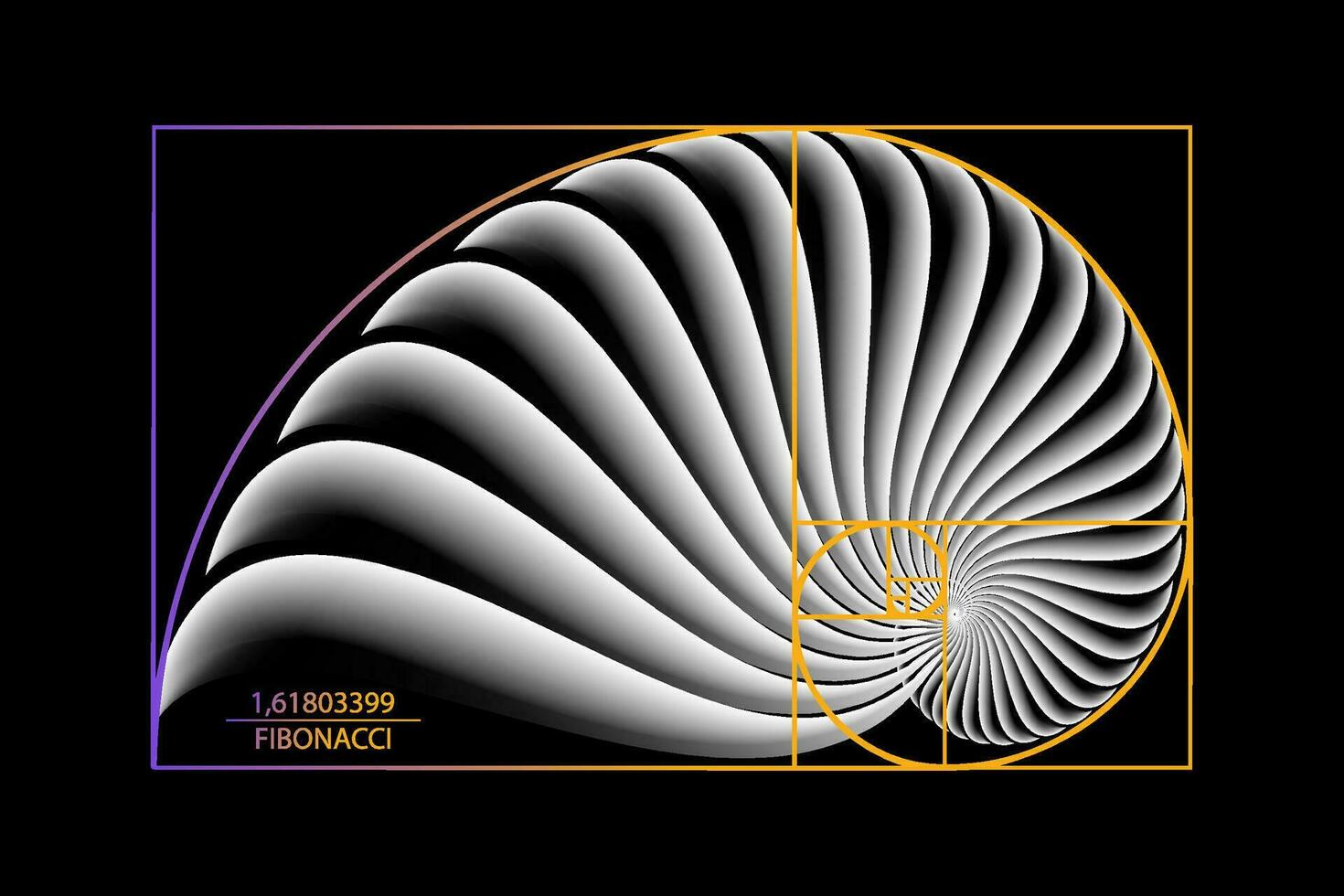 Fibonacci Sequence Golden ratio. Geometric shapes spiral. Snail spiral. Sea shell of white circles. Sacred geometry logo template. Vector isolated on black background