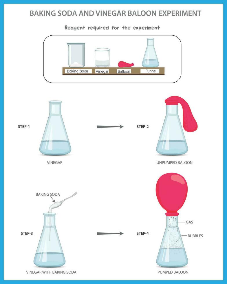Baking Soda and Vinegar Balloon Science experiment, Chemistry experiment vector