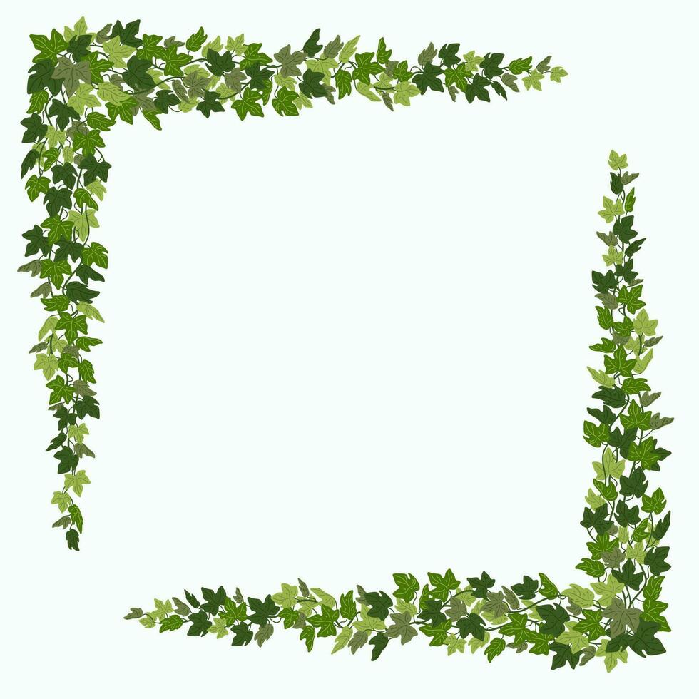 Ivy corners, green vines decorative frame or design elements isolated on white background. Vector illustration in flat cartoon style.