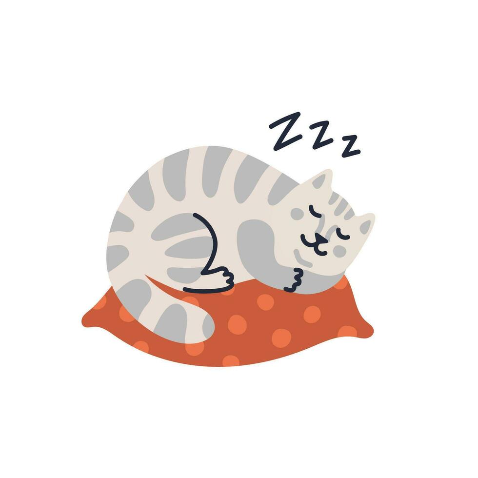 vector gato ilustración, linda atigrado gatito dormido en el almohada. vector ilustración en plano dibujos animados estilo en blanco antecedentes