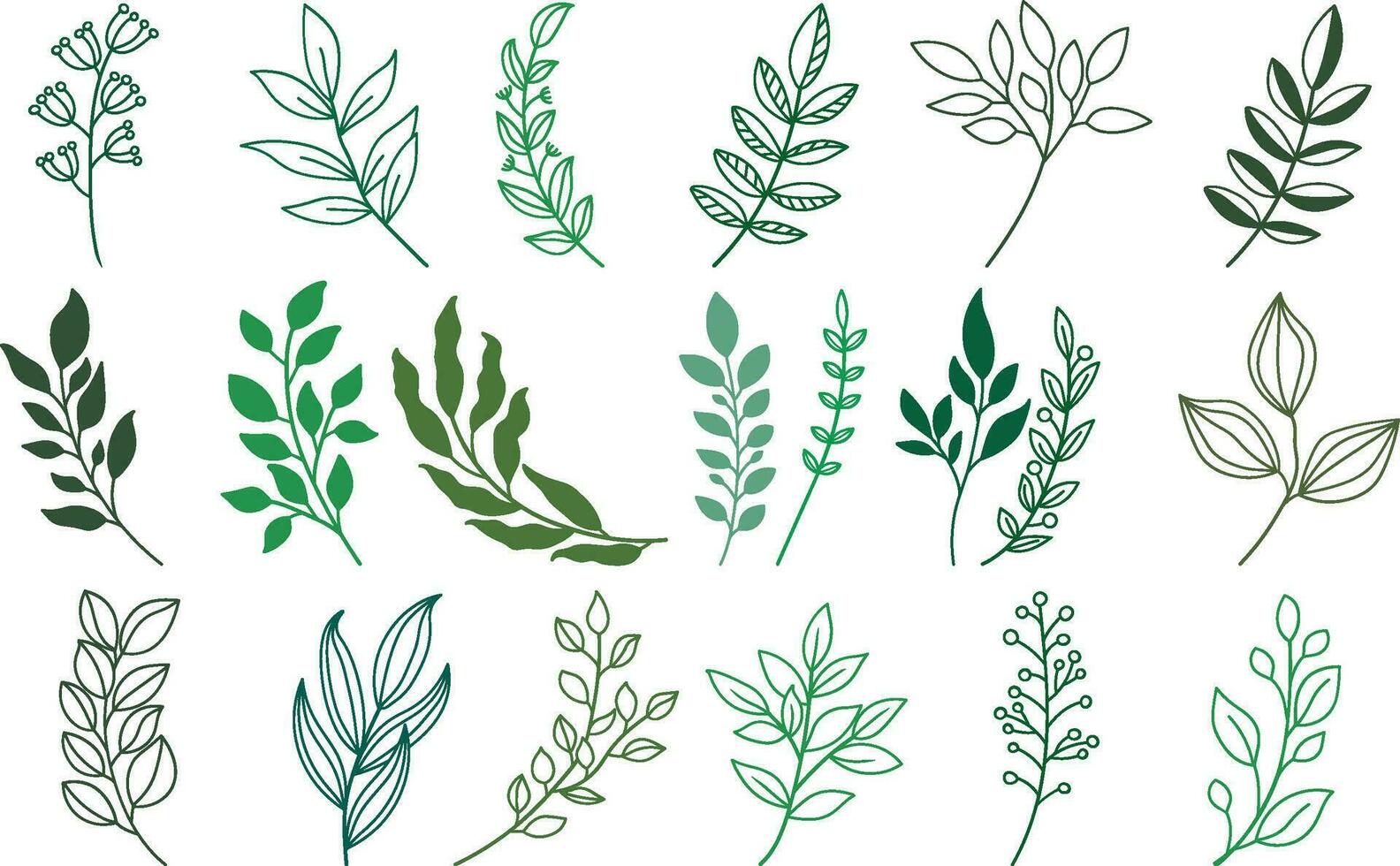 Set of Hand drawn leaves and Vector Illustration