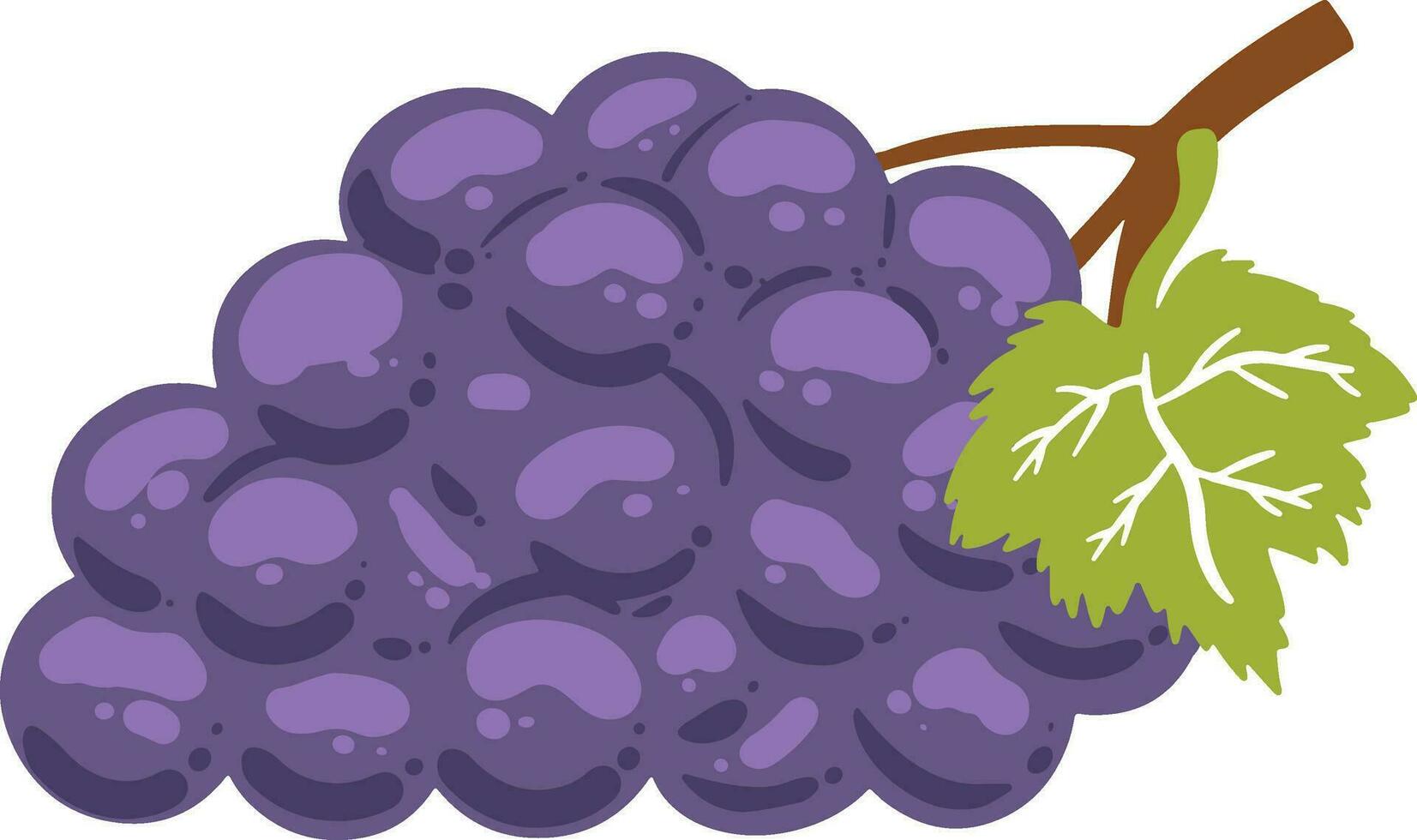 bendito uvas ilustración vector