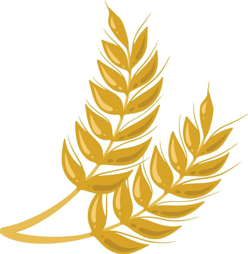 Grain of Wheat Illustration vector