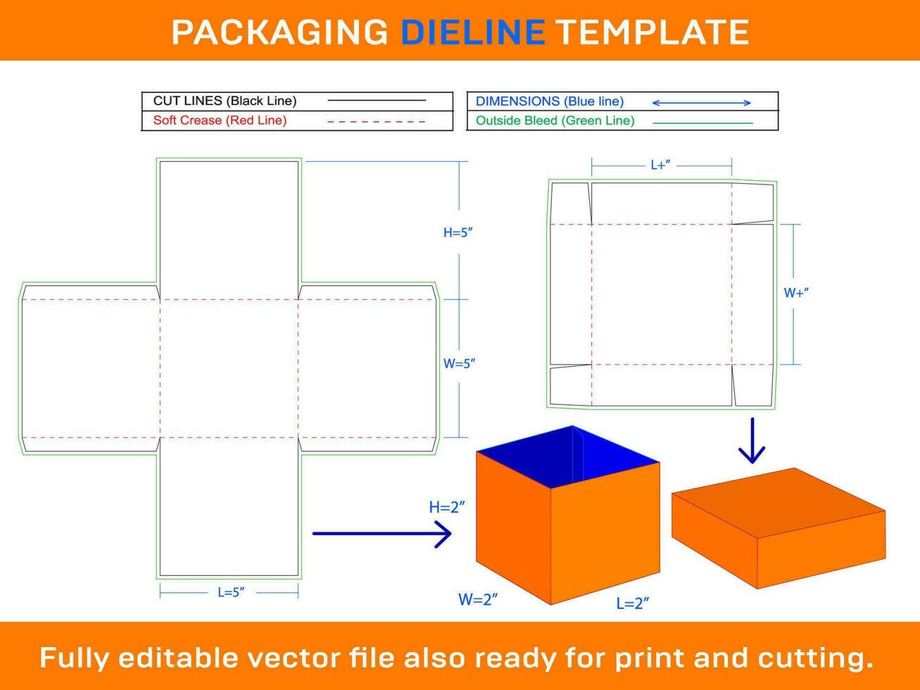 Simple Explasion Box, Storage Box Dieline Template vector