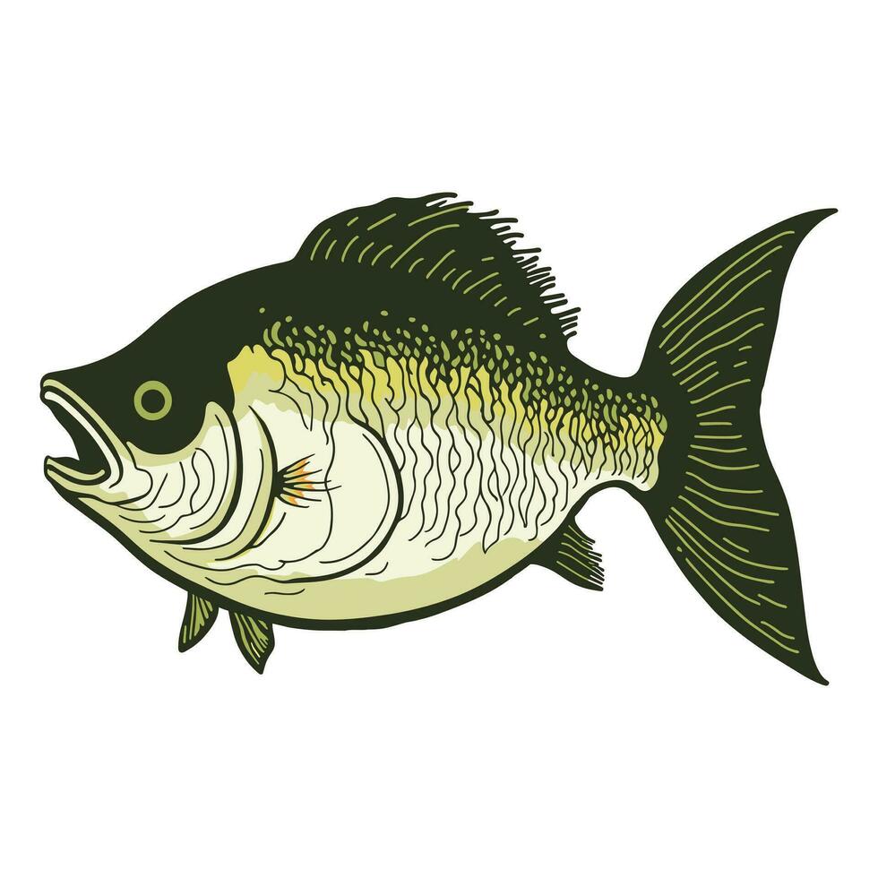 Simple Bass fish vector illustration