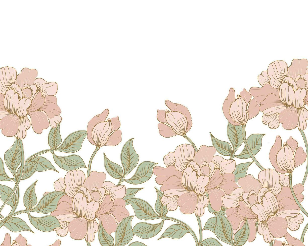 Vintage Hand Drawn Peach Rose Background vector