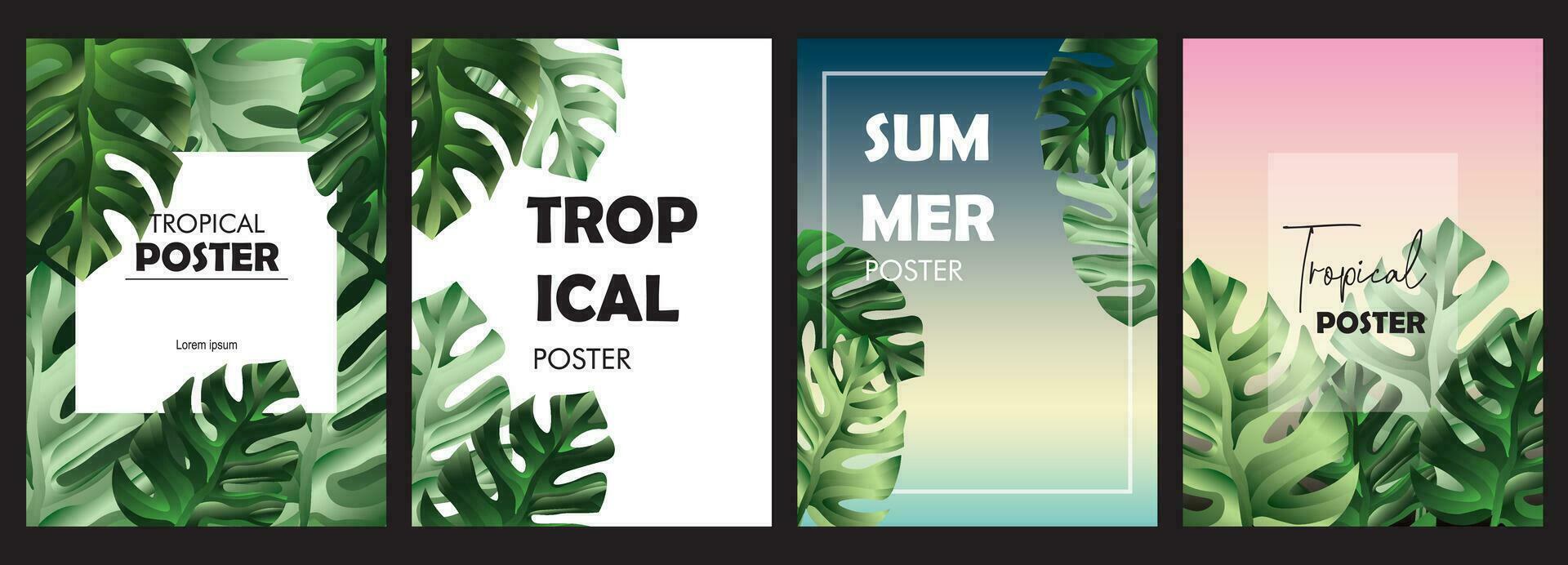 Set of tropical backgrounds with jungle plants monstera vector