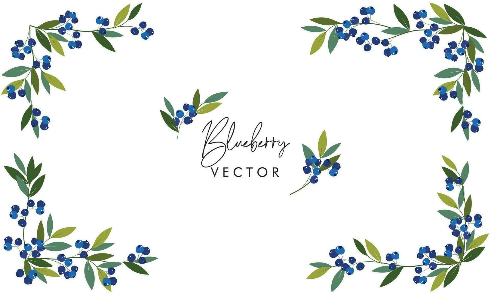 Blueberry frame with leaves graphic illustration vector