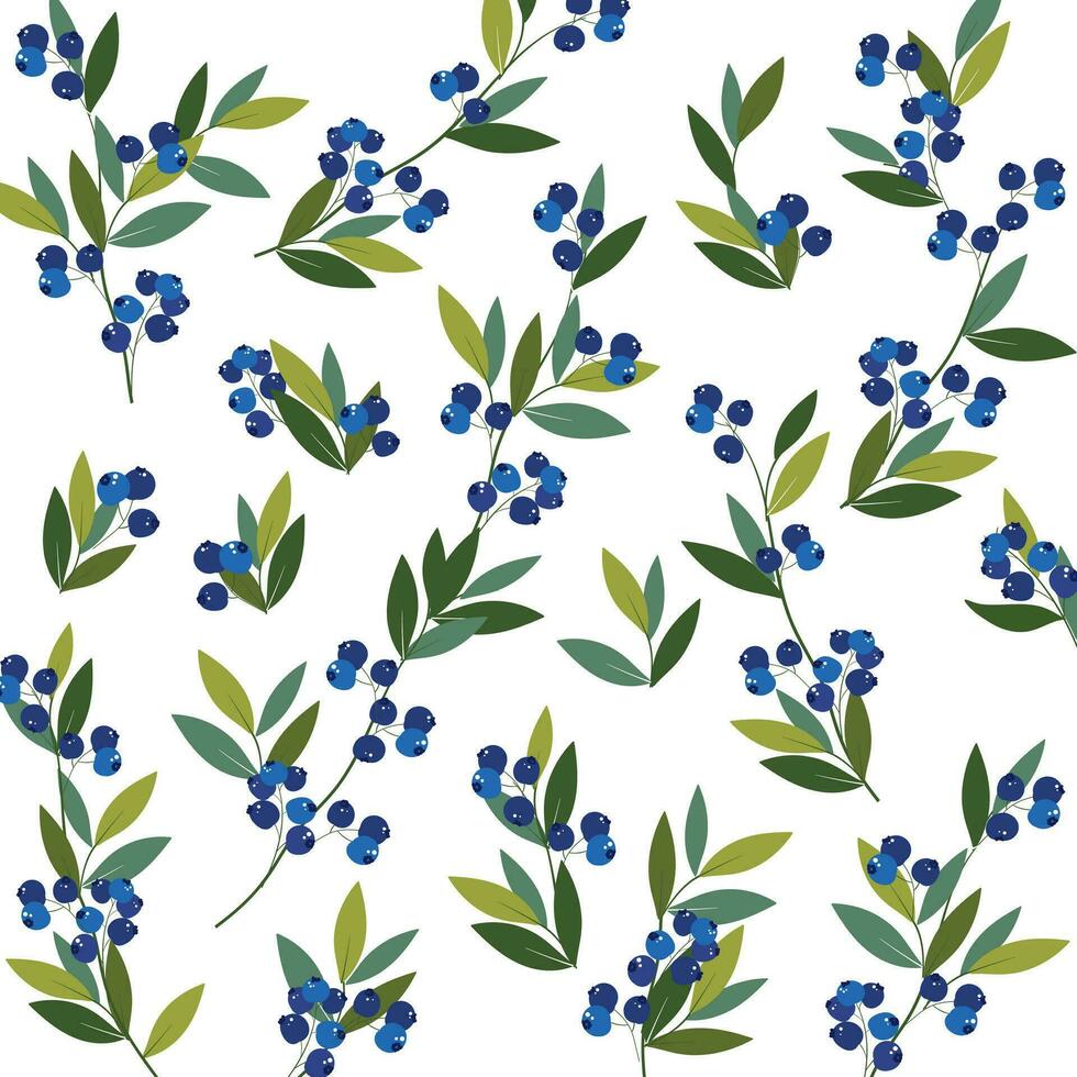 Blueberry seamless graphic pattern vector