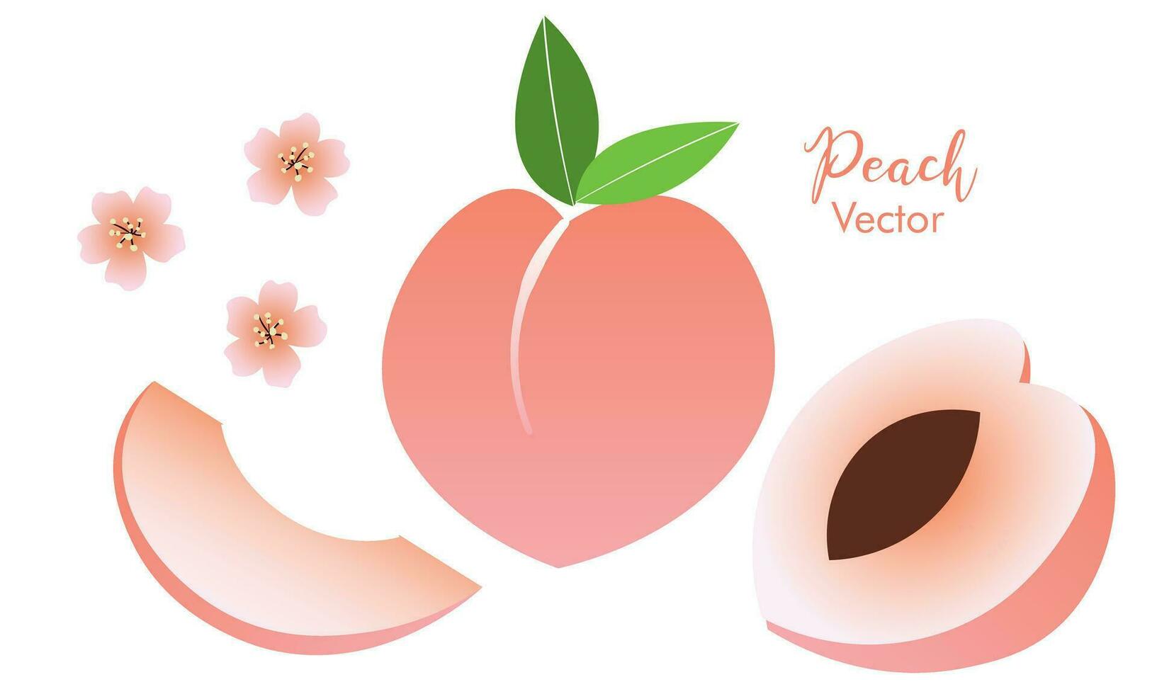 vector set of colorful juicy peach isolated on white