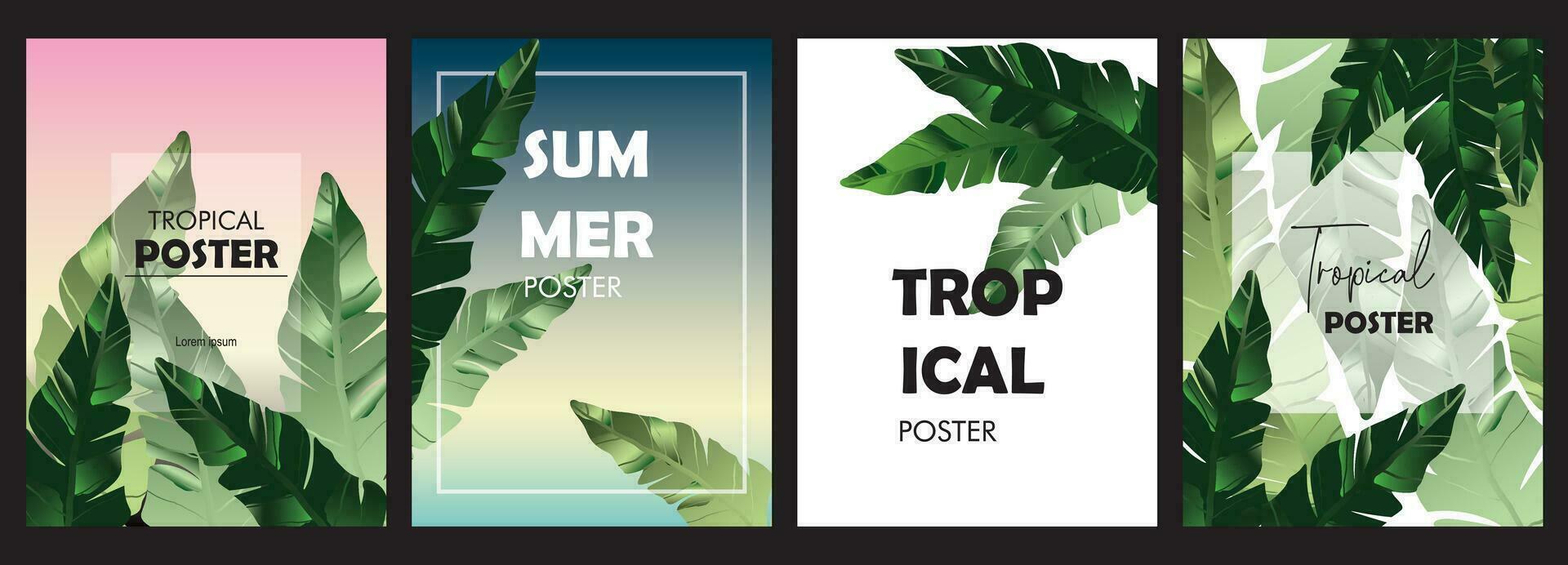 Set of tropical backgrounds with jungle plants banana leaves vector