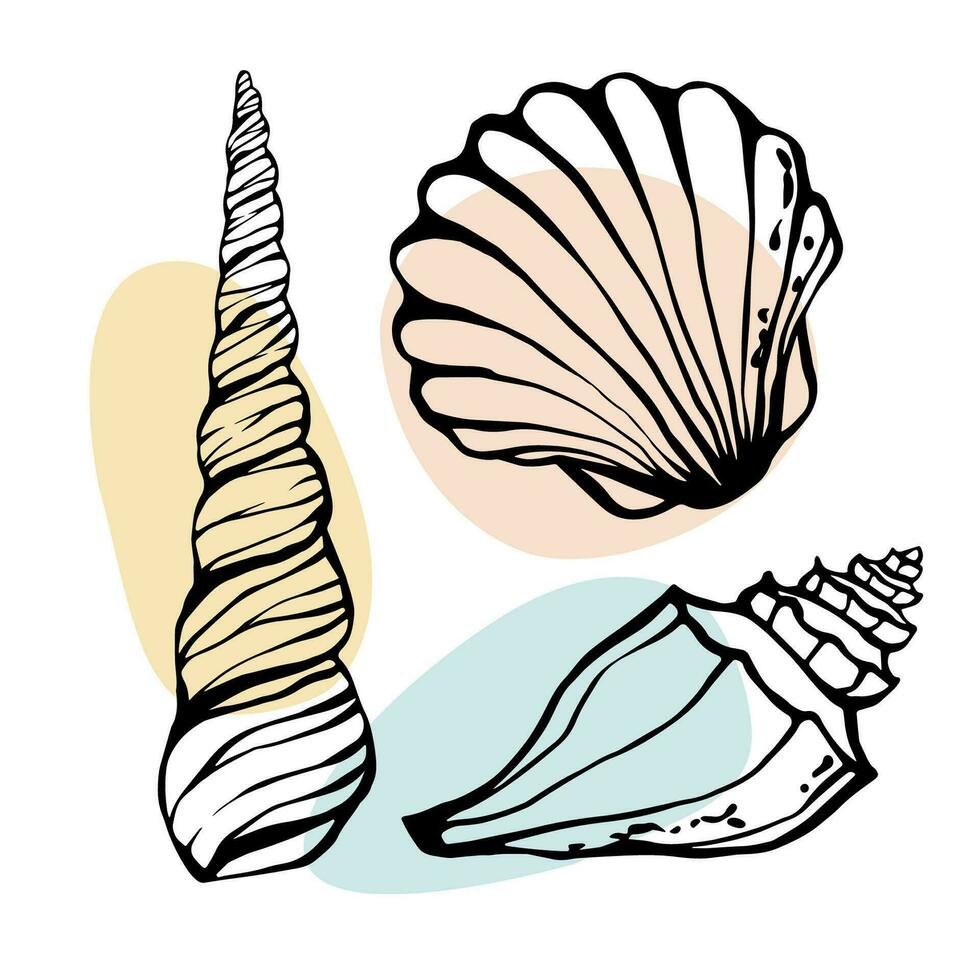 Hand drawn Sea shells freehand line art summer marine design elements collection. Vector illustration.