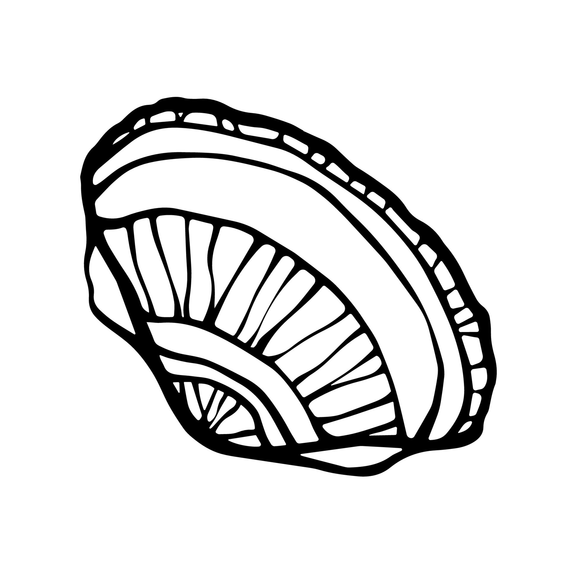 Hand drawn Sea shell. Conch or clam shell ink line art freehand design