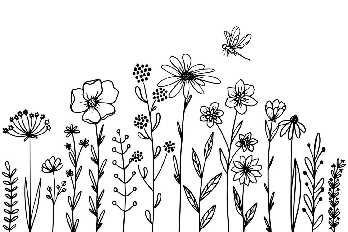 Different flowers and herbs with dragonfly. Wild grass. Vector illustration.