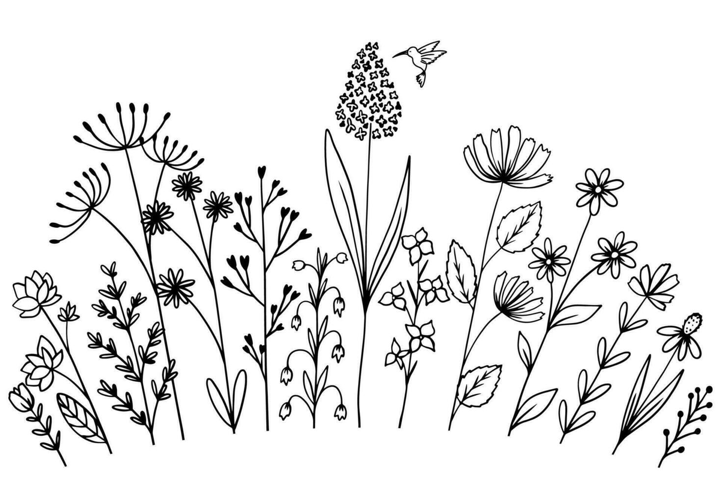 Different wildflowers and herbs with hummingbird bird vector