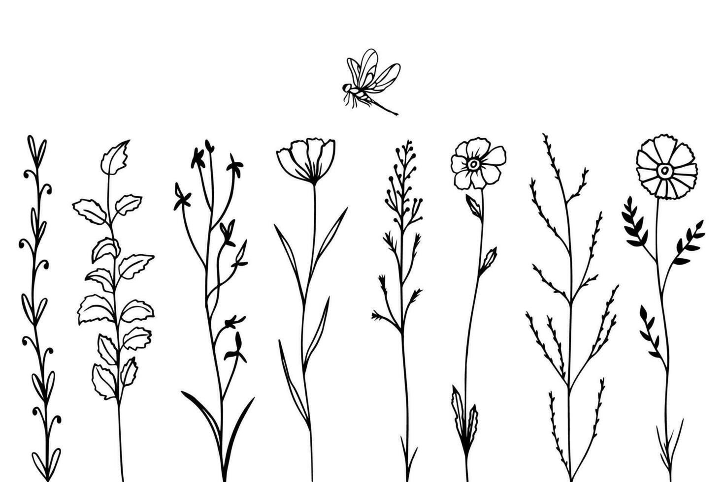 bosquejo negro flores y hierba con libélula, garabatear estilo vector