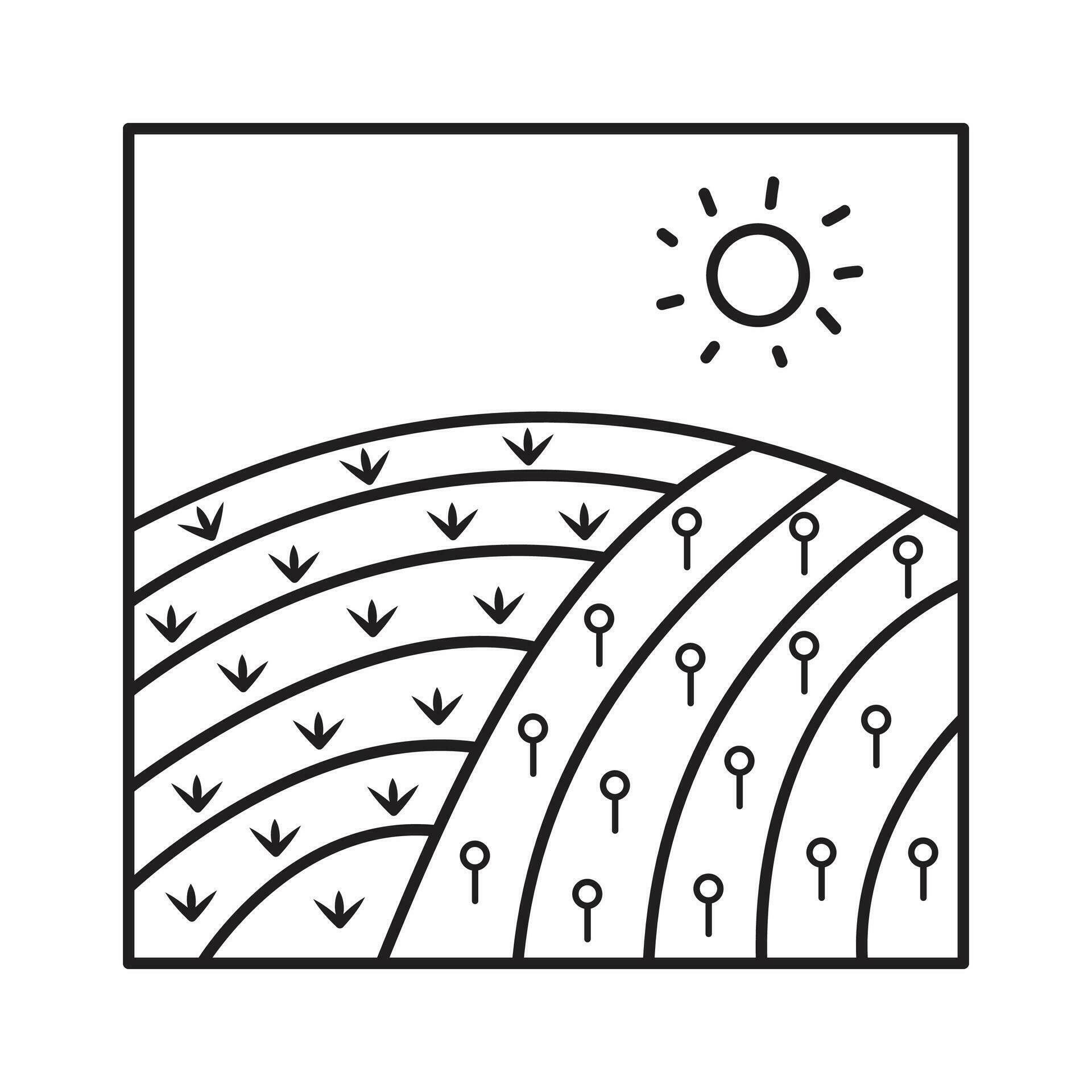 Farm soil field land with rice and blue jazz flower farming vector icon
