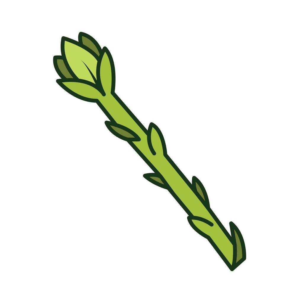 Asparagus vegetable green colored vector icon illustration isolated on square white background. Simple flat cartoon vegetable healthy natural food ingredients drawing.