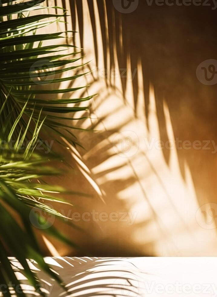 Tropical background for a product placement, palm tree leaves and sunlight shadows on the wall, minimalistic botanical backdrop, palms on a hot sunny day, photo