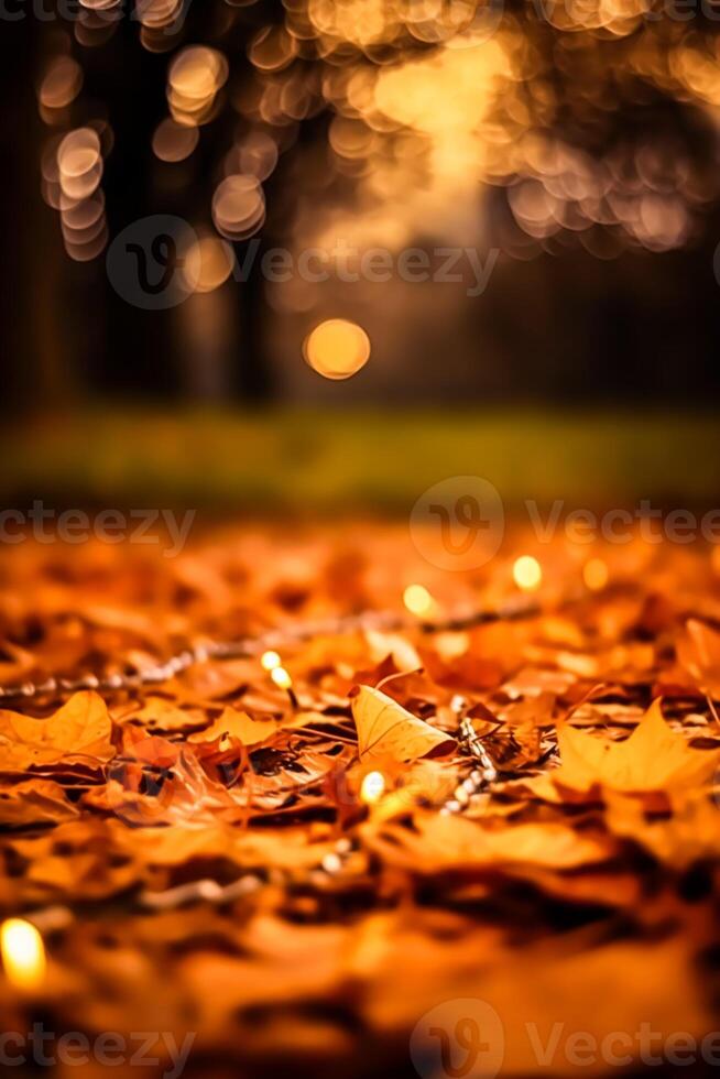 Abstract autumn background, beautiful countryside nature with autumnal leaves and bokeh, photo