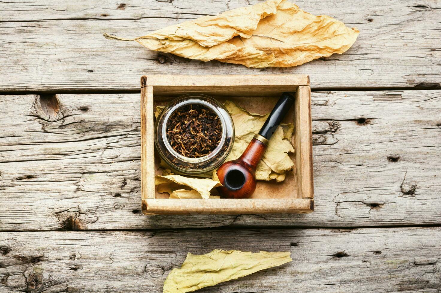 Smoking pipe with tobacco leaves photo